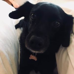 Meet your Posher, Janine